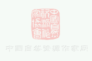 应急广播如何服务防汛救灾，广电总局召开重要会议！